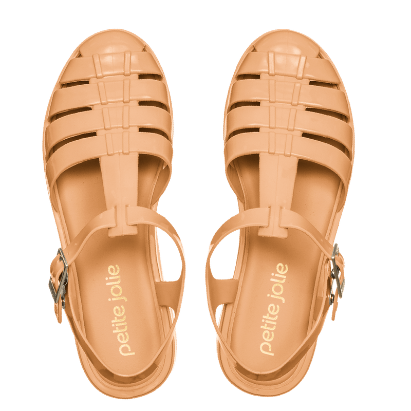 PJ5595-New-Camel3