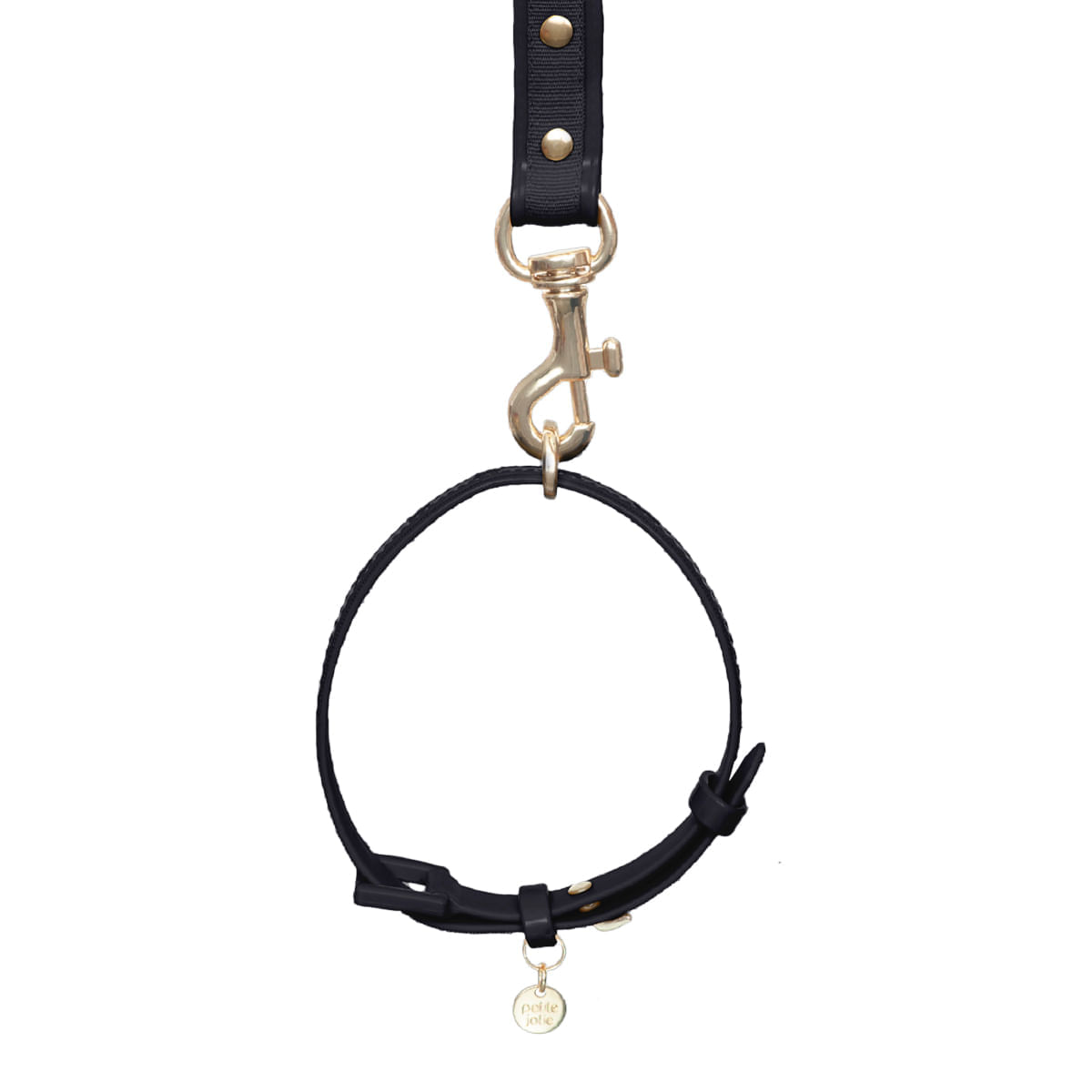 Guia + Coleira Preta PJ20047