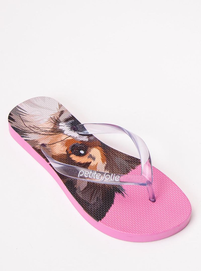 Chinelo Petite Jolie Fresh Pet Lovers 14 PJ6969