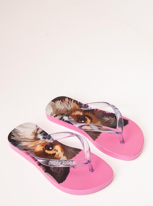 Chinelo Petite Jolie Fresh Chiclete/Pet Lovers 14 PJ6969IN